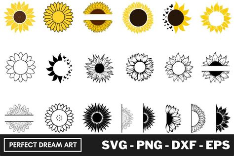 Sunflower SVG Bundle Outline - Graphics Marketplace