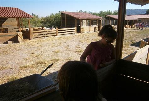 Visita Escolar A La Granja Escola Les Pedreres Turisme Escolar