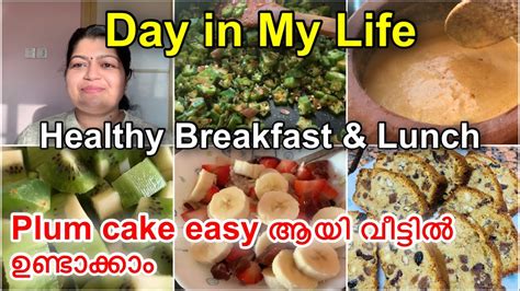 Day In My Life Malayalam Easy And Healthy Recipes Plum Cake Malayali