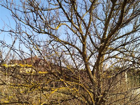 Timashevsk, Russia 2023: Best Places to Visit - Tripadvisor