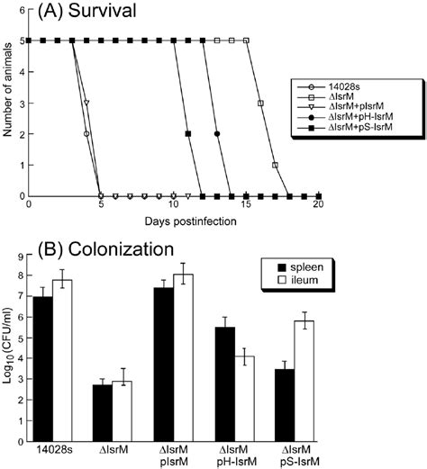 Virulence And Colonization Of Salmonella In Mice A Mortality Of The