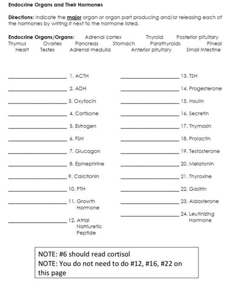 Solved Endocrine System Review Packet Label The Endocrine Chegg