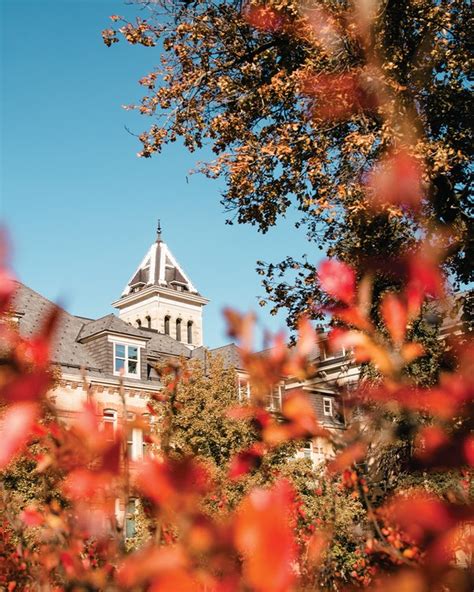 Utah State Today In Focus