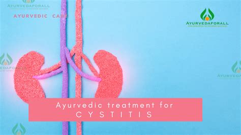 Ayurvedic Treatment for Cystitis