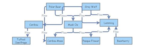 Food Web Insight Maker