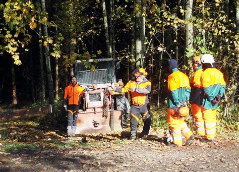 Richtiger Umgang mit der Motorsäge 19 Feuerwehrdienstleistende