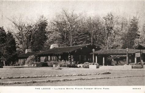 The Lodge, Illinois White Pines Forest State Park Mount Morris, IL Postcard