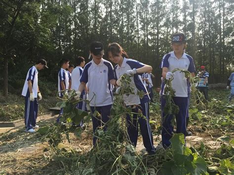 青春赤子 体悟自然生命，培育环境素养 ——上海市曹杨中学新高二学农纪实（一） 搜狐大视野 搜狐新闻