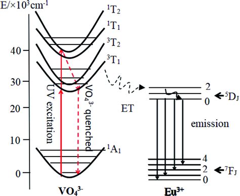 The schematic diagram of energy level transition | Download Scientific Diagram