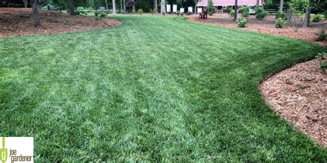 How To Topdress Your Lawn Milorganite