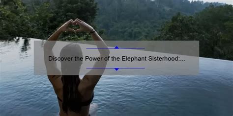 Discover The Power Of The Elephant Sisterhood A Heartwarming Story And