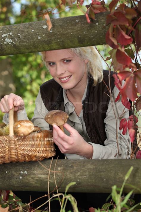 Woman Picking Mushrooms In The Woods Stock Image Colourbox