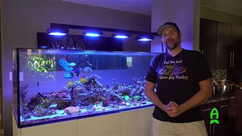 Reefs Tank Show Off Deven Rich Aka Reef Dudes Youtube