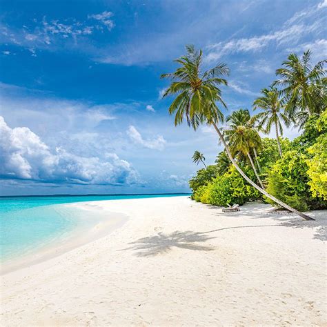 Maldives Paradise Tropical Beach Photograph by Levente Bodo - Fine Art ...