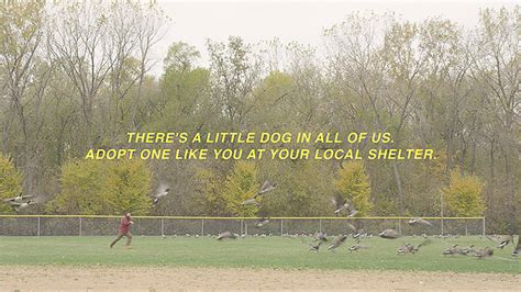 People Act Like Dogs At A Dog Park In A Cute Video Promoting The