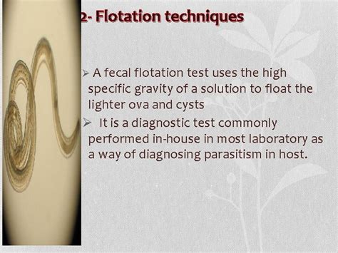 Concentration Methods Of Fecal Parasites By Assistant Lecturer