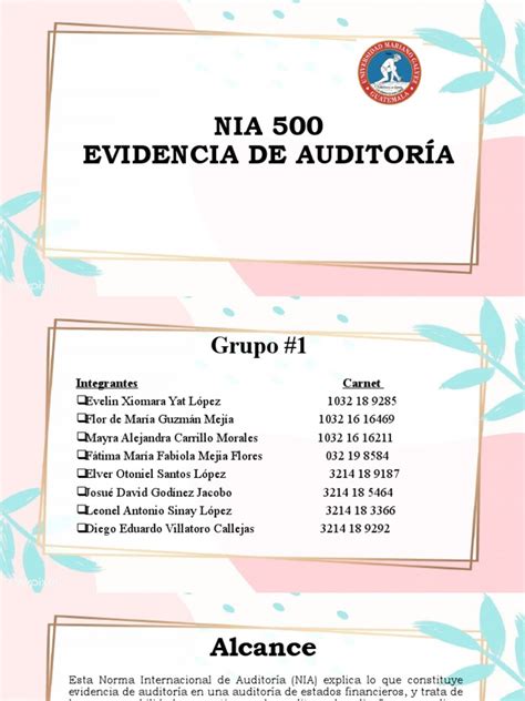 Nia 500 Evidencia De Auditoría Pdf Auditoría Contralor