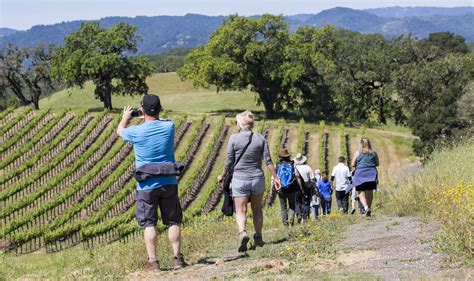 Jordan Winery Summer Vineyard Hike | Best Hiking Sonoma