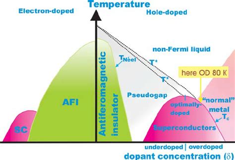 The Sketch Of Generic Phase Diagram Of The Electron And Hole Doped