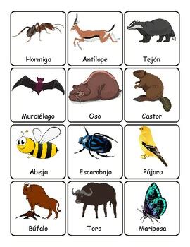 Spanish Animals' Names Vocabulary Flashcards by HomeschoolingPrints