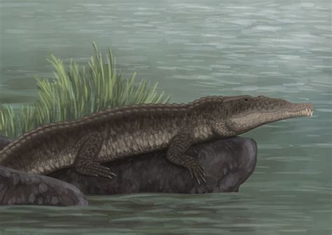 Smilosuchus gregorii by Aberrantologist on DeviantArt