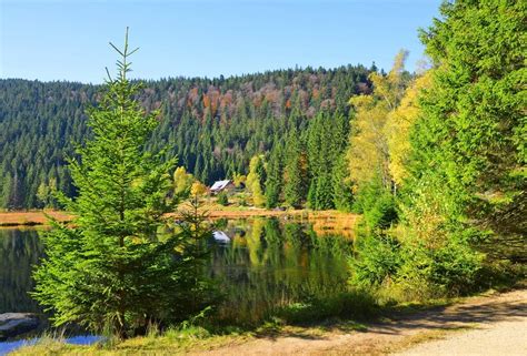 Bavarian Forest National Park