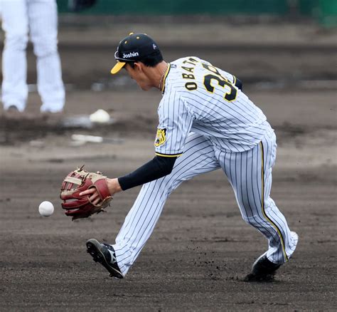 【阪神】遊撃レギュラー争い明暗 小幡竜平、紅白戦2失策 ライバル木浪聖也は1発でアピール プロ野球写真ニュース 日刊スポーツ