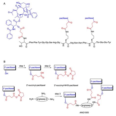 (PDF) On the design principles of peptide–drug conjugates for targeted ...