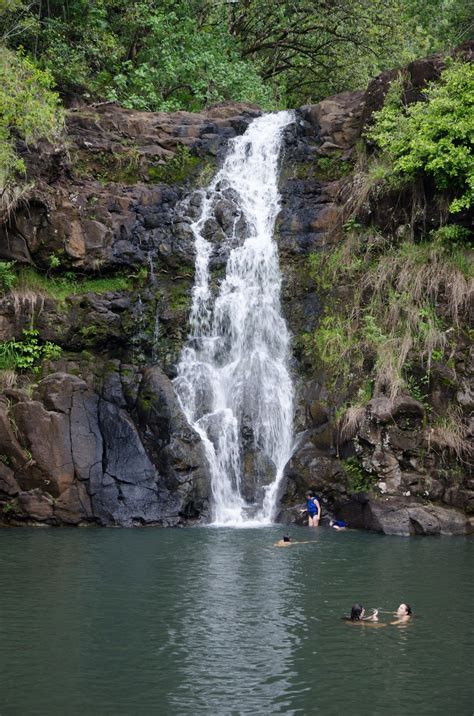 Haole Hiking: Waimea Falls "Hike"