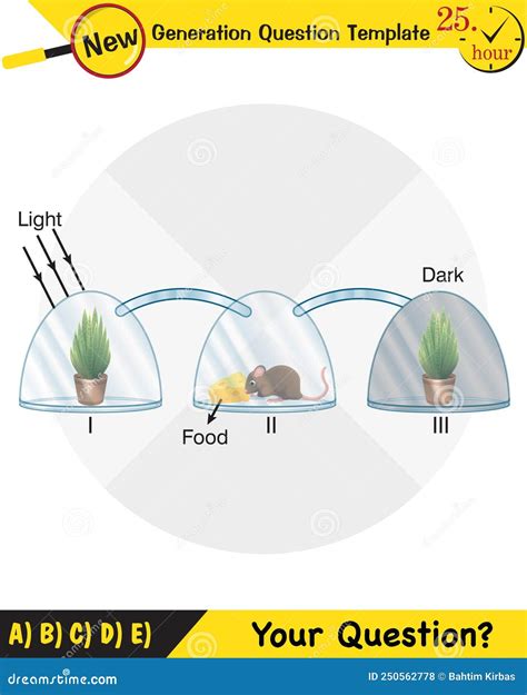 Physics, Joseph Priestley`s Experiment, Photosynthesis Phenomenon Of Plant Experiment Stock ...