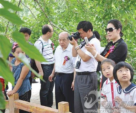 夏津椹果节不要“热闹”要“实惠”德州新闻网