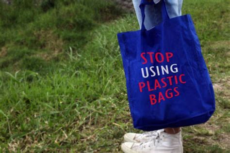 Benefits Of Using Eco Friendly Bags And Instead Of Plastic