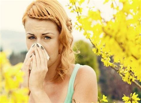 Hay Fever Alert Very High Pollen Levels Forecast Over Next Two Days Theliberal Ie Our News