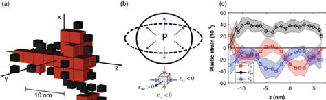(a) Close-up view of the TS boxed in Figure 1(c) with a cylindrical ...
