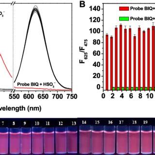 A Fluorescence Response Of Probe Biq M Toward Various Amounts