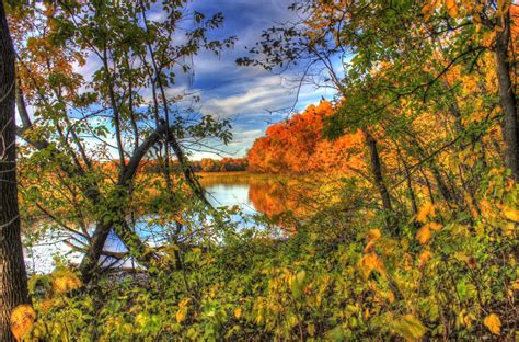 Fotos Gratis Paisaje Rbol Agua Naturaleza Bosque Rama Cielo