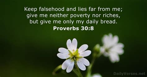 Proverbs 30 8 Bible Verse DailyVerses Net