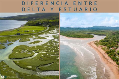 Diferencia Entre Delta Y Estuario Resumen