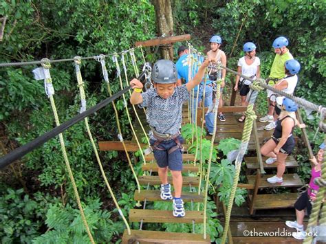 Mayan Jungle Canopy Zipline | Caribbean Adventures Roatan - Tours ...