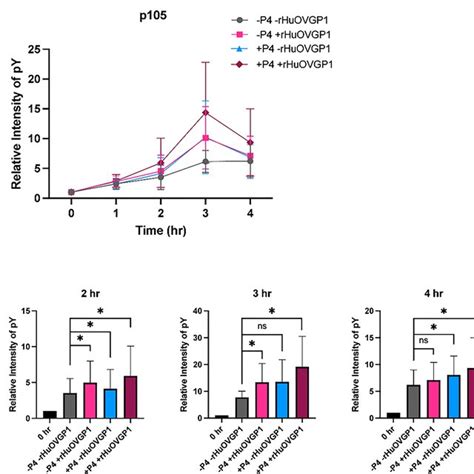 P4 Enhances The Level Of Tyrosine Phosphorylation Of Human Sperm