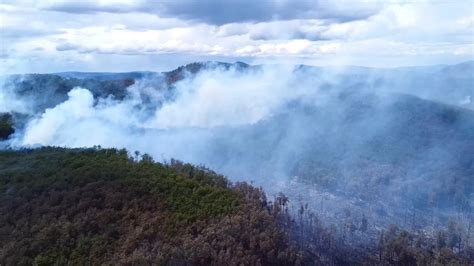 Reporte Oficial Por Los Incendios En Argentina Tierra Del Fuego Y