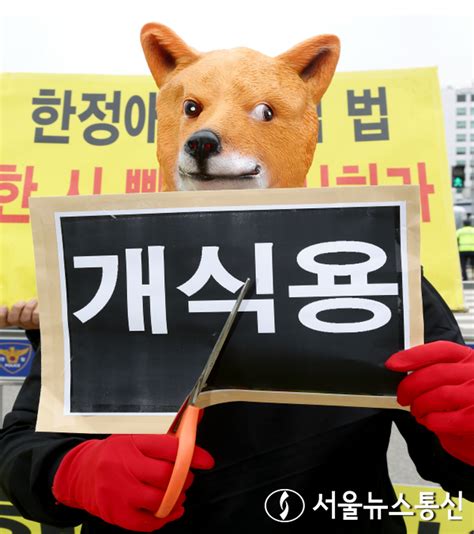 ‘개식용 금지 퍼포먼스 하는 한국동물보호연합회 서울뉴스통신