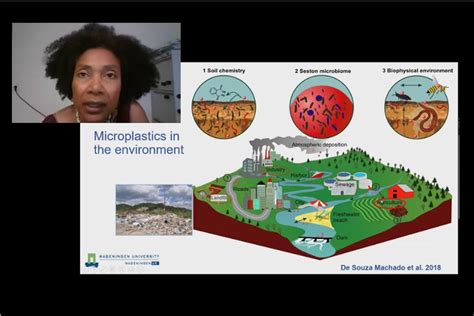 Microplastics In The Terrestrial Environment Endplasticsoup