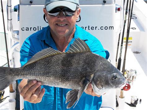 Cape Fear River Today | Carolina Beach Fishing Report