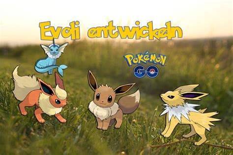 Evoli Gezielt Weiterentwickeln Pok Mon Guide