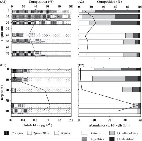 Vertical Profiles Of Chlorophyll A Concentrations μg L −1 Of Three Download Scientific