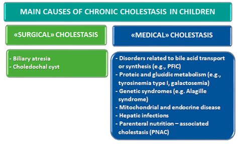 Nutrients Free Full Text Malnutrition In Pediatric Chronic