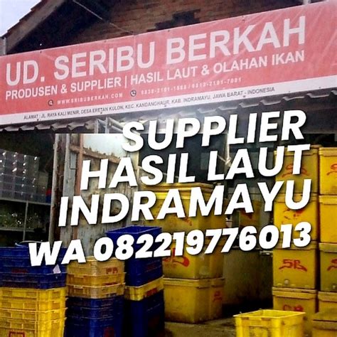 Supplier Hasil Laut Youtube