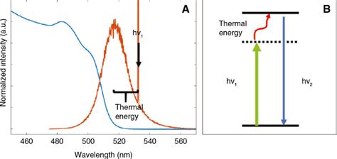 Illustration Of Anti Stokes Photoluminescence A Absorption Blue