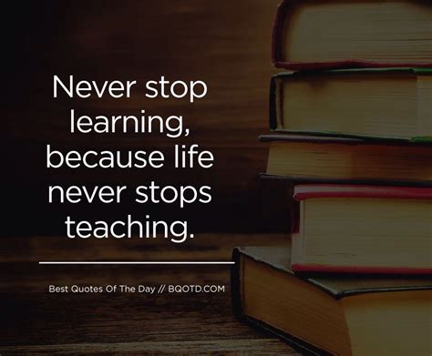 Never Stop Learning Quotes - ShortQuotes.cc